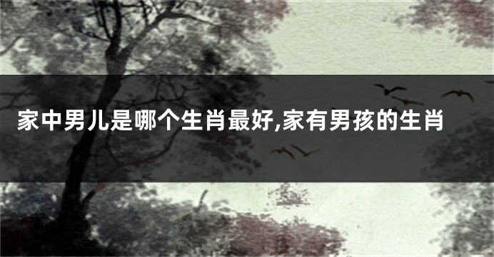 家中男儿是哪个生肖最好,家有男孩的生肖
