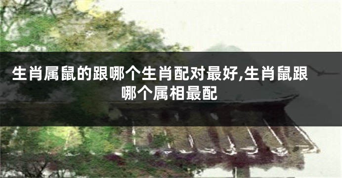 生肖属鼠的跟哪个生肖配对最好,生肖鼠跟哪个属相最配