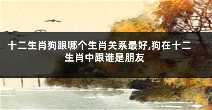 十二生肖狗跟哪个生肖关系最好,狗在十二生肖中跟谁是朋友