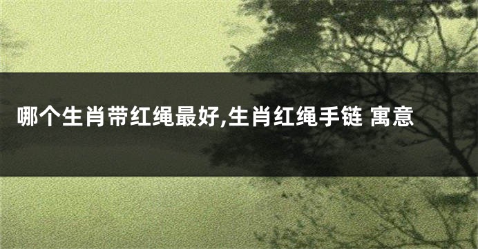 哪个生肖带红绳最好,生肖红绳手链 寓意