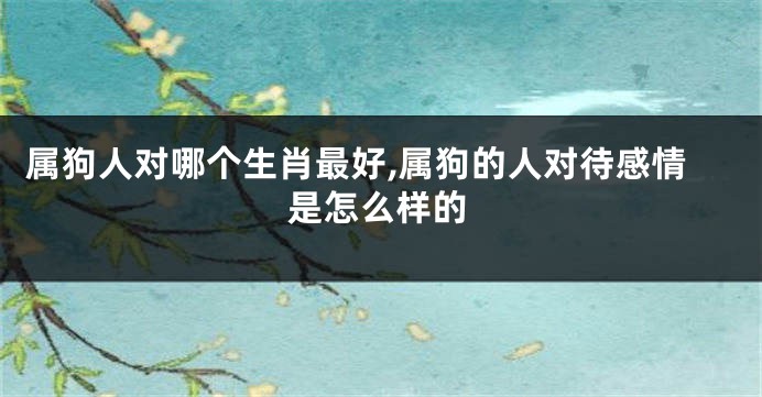 属狗人对哪个生肖最好,属狗的人对待感情是怎么样的