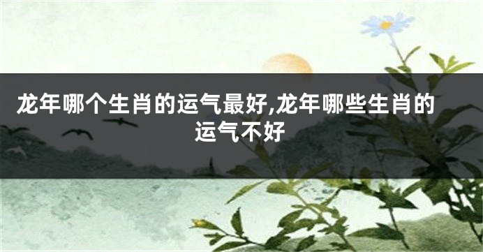 龙年哪个生肖的运气最好,龙年哪些生肖的运气不好