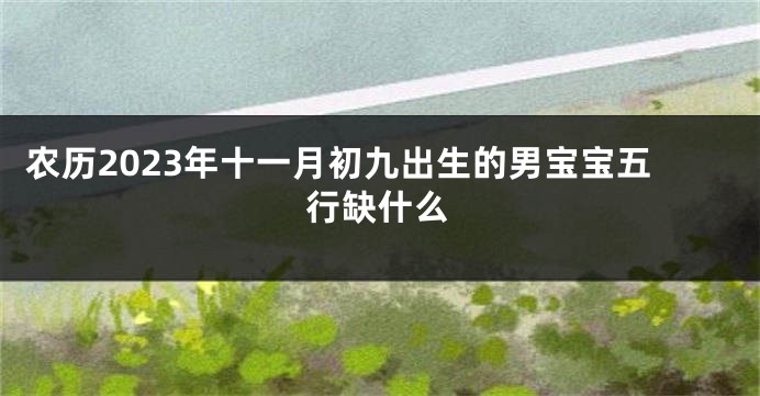 农历2023年十一月初九出生的男宝宝五行缺什么