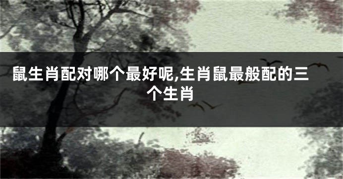 鼠生肖配对哪个最好呢,生肖鼠最般配的三个生肖