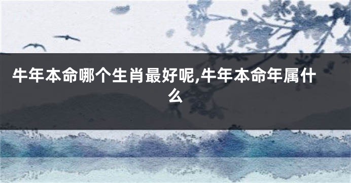 牛年本命哪个生肖最好呢,牛年本命年属什么