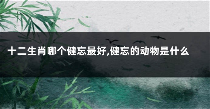 十二生肖哪个健忘最好,健忘的动物是什么