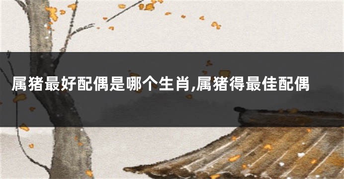 属猪最好配偶是哪个生肖,属猪得最佳配偶