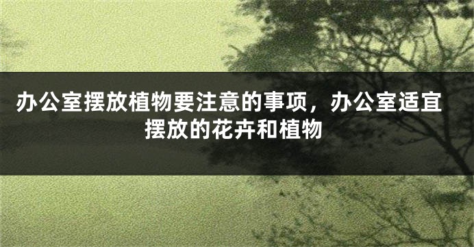 办公室摆放植物要注意的事项，办公室适宜摆放的花卉和植物