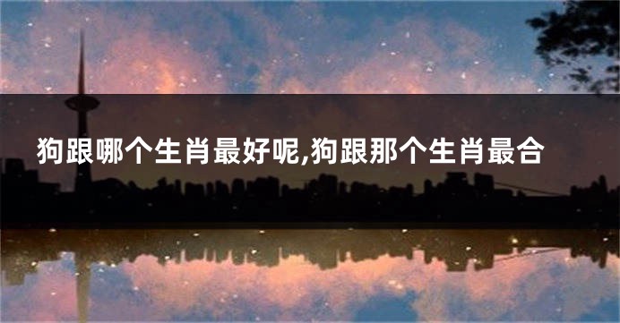 狗跟哪个生肖最好呢,狗跟那个生肖最合