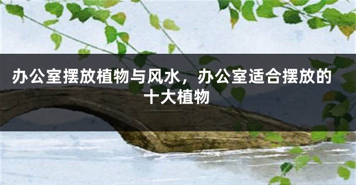 办公室摆放植物与风水，办公室适合摆放的十大植物