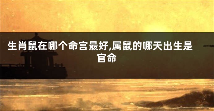 生肖鼠在哪个命宫最好,属鼠的哪天出生是官命