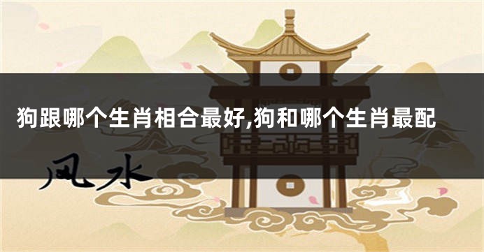 狗跟哪个生肖相合最好,狗和哪个生肖最配