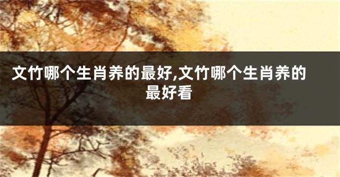 文竹哪个生肖养的最好,文竹哪个生肖养的最好看