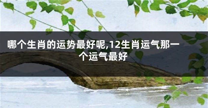 哪个生肖的运势最好呢,12生肖运气那一个运气最好