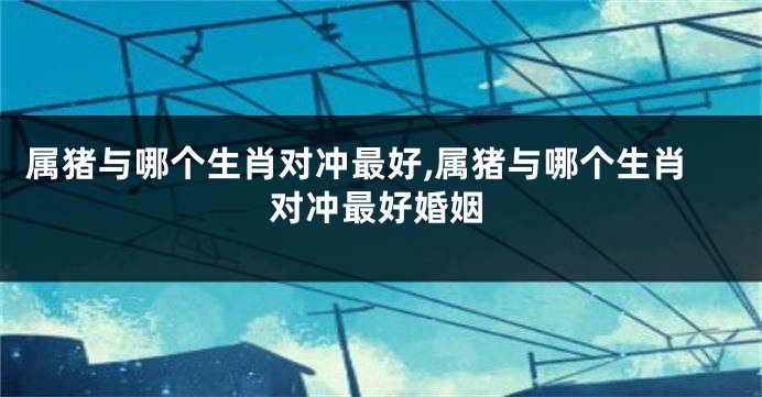 属猪与哪个生肖对冲最好,属猪与哪个生肖对冲最好婚姻