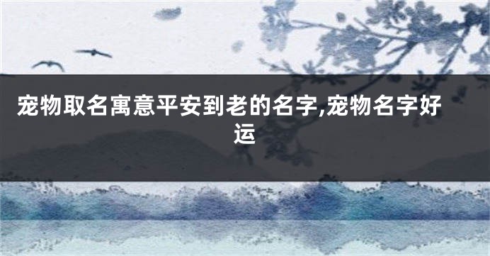 宠物取名寓意平安到老的名字,宠物名字好运