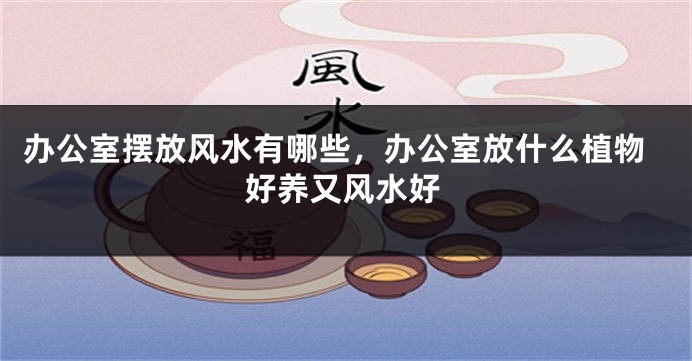 办公室摆放风水有哪些，办公室放什么植物好养又风水好