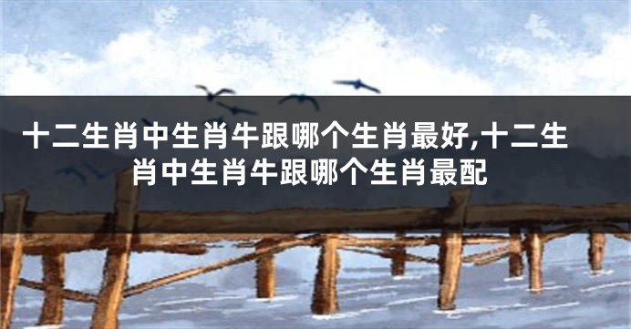 十二生肖中生肖牛跟哪个生肖最好,十二生肖中生肖牛跟哪个生肖最配