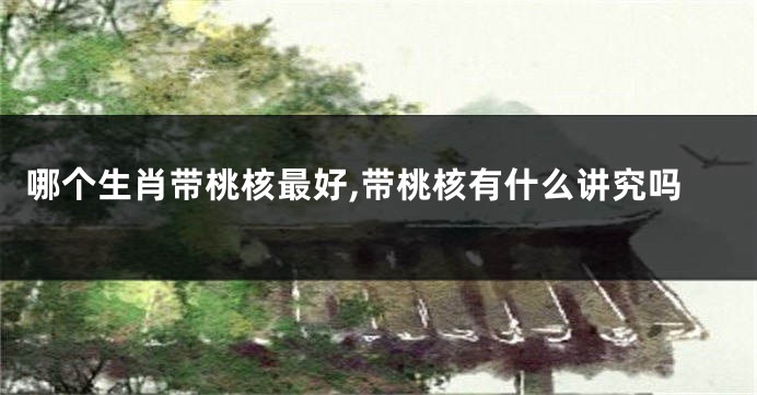 哪个生肖带桃核最好,带桃核有什么讲究吗