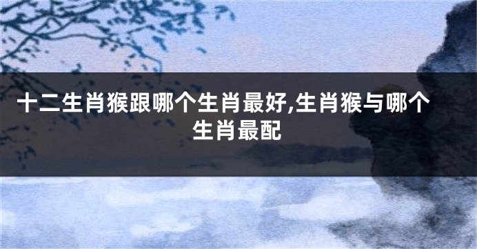 十二生肖猴跟哪个生肖最好,生肖猴与哪个生肖最配