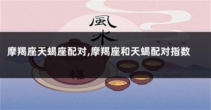 摩羯座天蝎座配对,摩羯座和天蝎配对指数