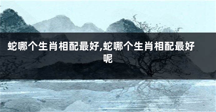 蛇哪个生肖相配最好,蛇哪个生肖相配最好呢