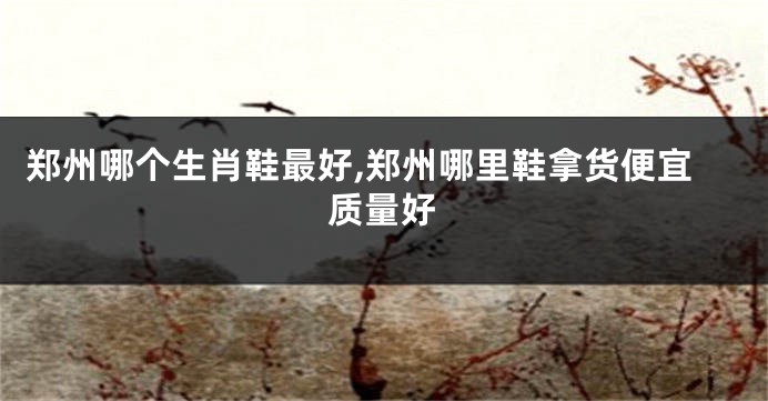 郑州哪个生肖鞋最好,郑州哪里鞋拿货便宜质量好