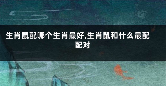 生肖鼠配哪个生肖最好,生肖鼠和什么最配配对