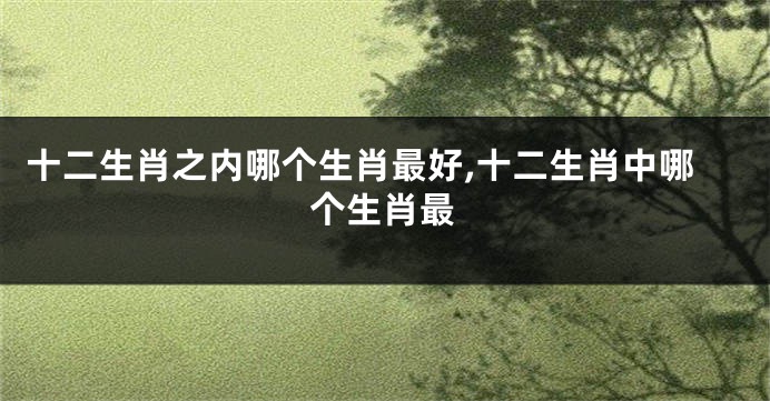 十二生肖之内哪个生肖最好,十二生肖中哪个生肖最