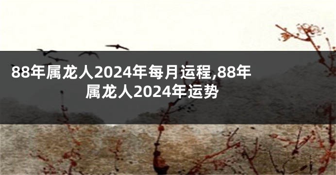 88年属龙人2024年每月运程,88年属龙人2024年运势