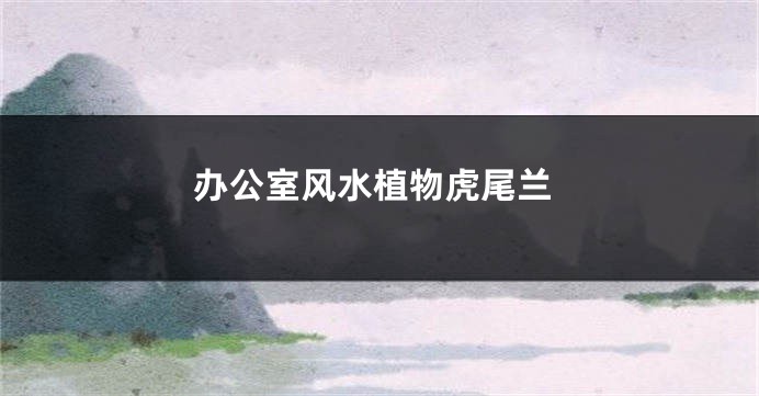 办公室风水植物虎尾兰