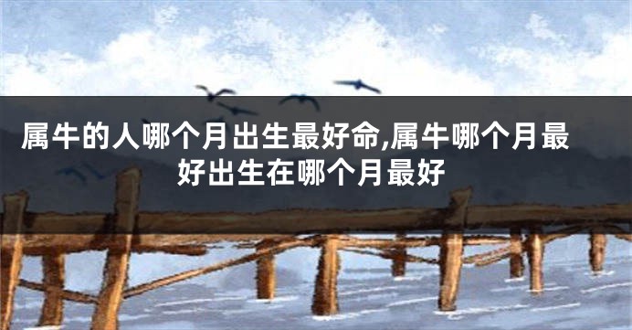属牛的人哪个月出生最好命,属牛哪个月最好出生在哪个月最好
