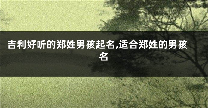 吉利好听的郑姓男孩起名,适合郑姓的男孩名