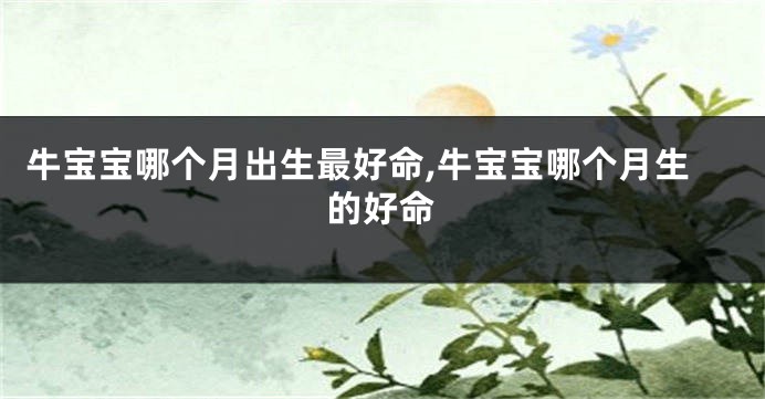 牛宝宝哪个月出生最好命,牛宝宝哪个月生的好命