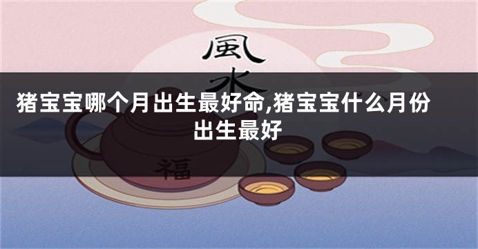 猪宝宝哪个月出生最好命,猪宝宝什么月份出生最好