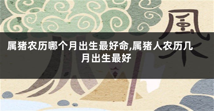 属猪农历哪个月出生最好命,属猪人农历几月出生最好