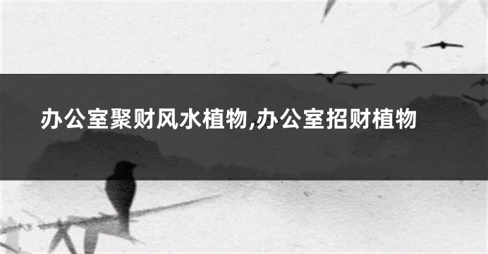 办公室聚财风水植物,办公室招财植物