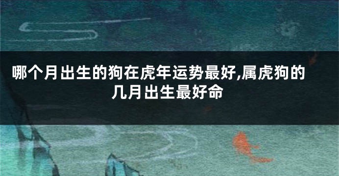 哪个月出生的狗在虎年运势最好,属虎狗的几月出生最好命