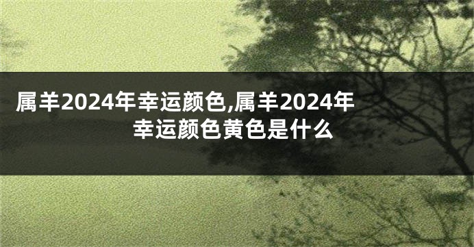 属羊2024年幸运颜色,属羊2024年幸运颜色黄色是什么