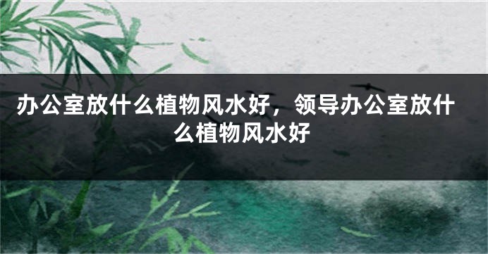 办公室放什么植物风水好，领导办公室放什么植物风水好