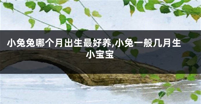小兔兔哪个月出生最好养,小兔一般几月生小宝宝