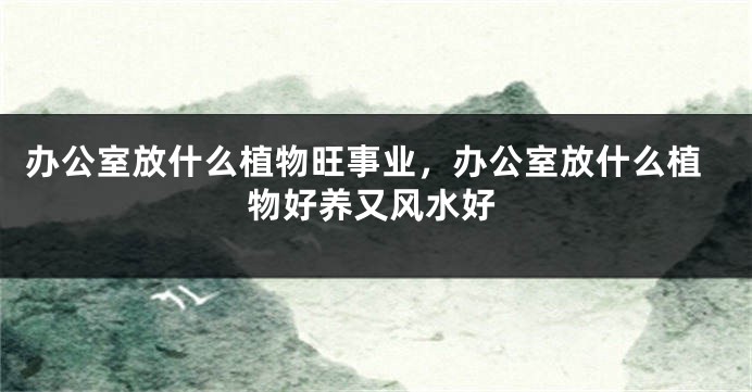 办公室放什么植物旺事业，办公室放什么植物好养又风水好