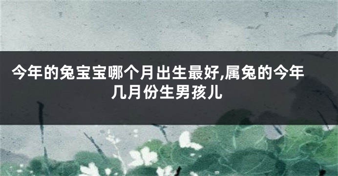 今年的兔宝宝哪个月出生最好,属兔的今年几月份生男孩儿
