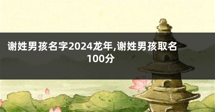 谢姓男孩名字2024龙年,谢姓男孩取名100分