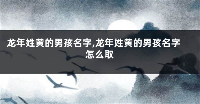 龙年姓黄的男孩名字,龙年姓黄的男孩名字怎么取