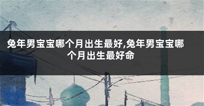 兔年男宝宝哪个月出生最好,兔年男宝宝哪个月出生最好命