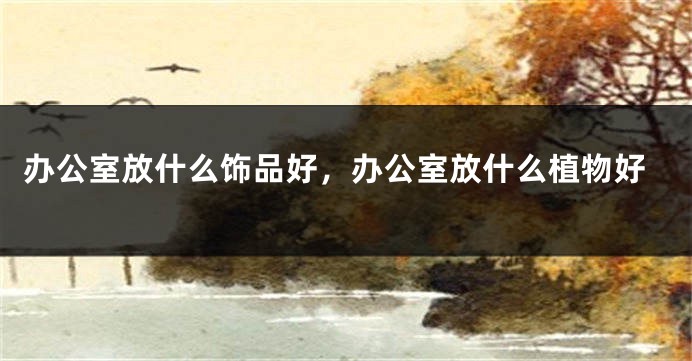 办公室放什么饰品好，办公室放什么植物好