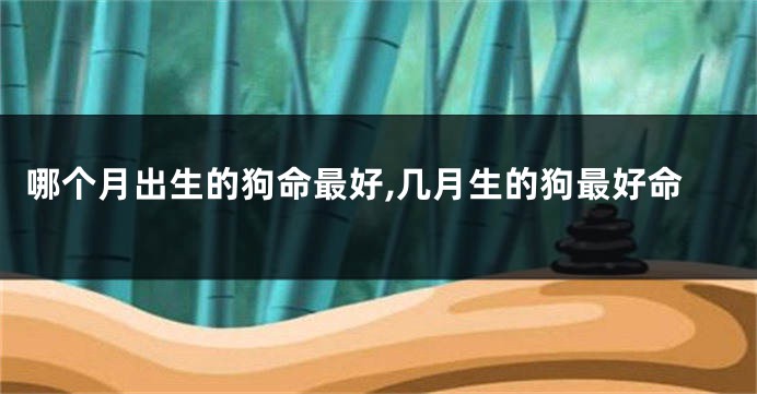 哪个月出生的狗命最好,几月生的狗最好命