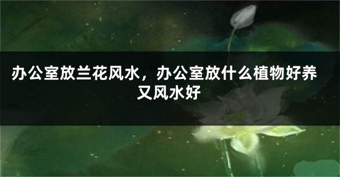 办公室放兰花风水，办公室放什么植物好养又风水好
