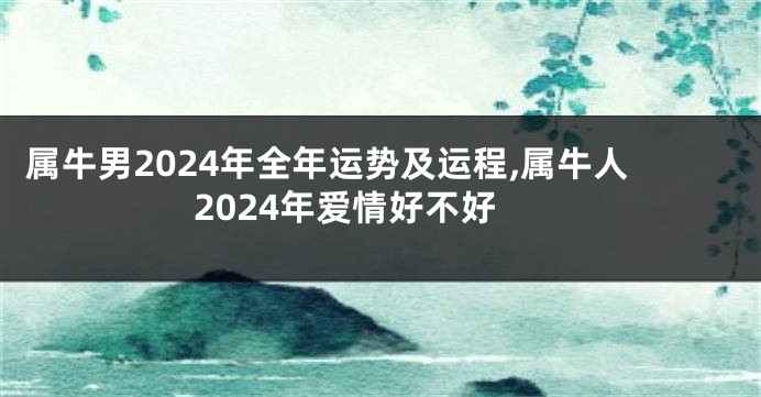 属牛男2024年全年运势及运程,属牛人2024年爱情好不好